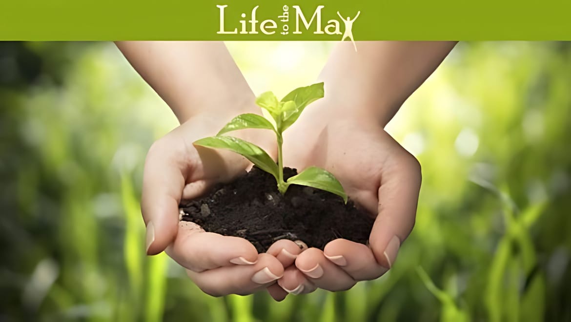 Step 8 - Growing up Into Christ